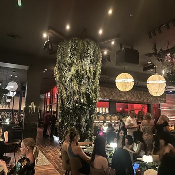 SHIV Steakhouse - Cocktail Bars Near Me - Scottsdale, Arizona