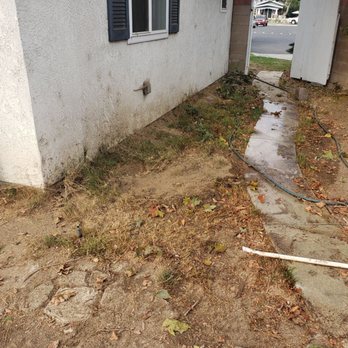 Fnl Landscaping - Thick roots from bushes removed. - Landscaping Near Me - Costa Mesa, California