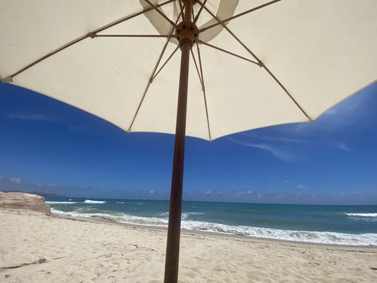 Cabo Surf Hotel & Spa by null