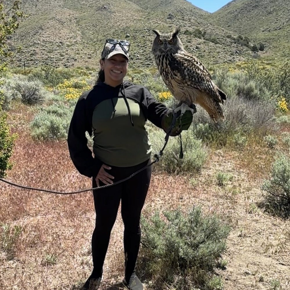 Raptor Adventures - eurasian eagle owl - Zoos Near Me - Reno, Nevada Raptor Adventures - eurasian eagle owl - Zoos Near Me - Reno, Nevada
