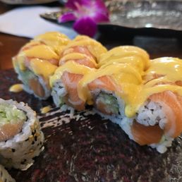 Salmon Roll Salmon Roll