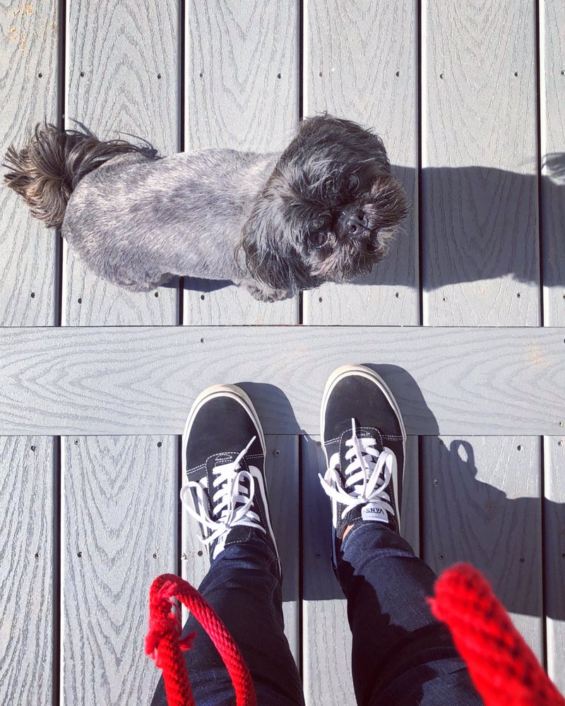 JET PETS 17 Photos & 16 Reviews 9111 Falmouth Ave, Playa Del Rey