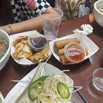 P's VietMi Cafe - Got our appetizer 5mins after we got our Pho - Vietnamese Near Me - Orlando, Florida
