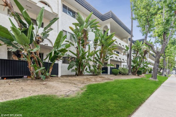 Palmilla Apartments by null