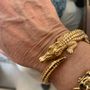 Photo of Jewels of the Desert