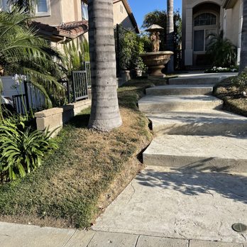 Future Grass - Old dry grass - Artificial Turf Near Me - Los Angeles, California Future Grass - Old dry grass - Artificial Turf Near Me - Los Angeles, California