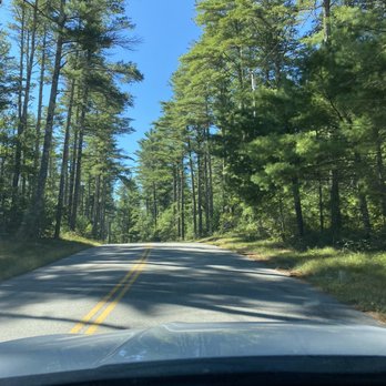 Myles Standish State Forest - 5 miles from gate to site! - Parks Near Me - South Carver, Massachusetts Myles Standish State Forest - 5 miles from gate to site! - Parks Near Me - South Carver, Massachusetts