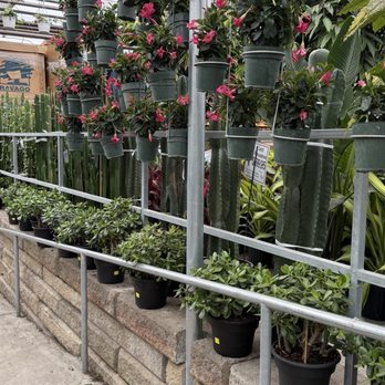 Valleyview Gardens - Nurseries & Gardening Near Me - Markham, Ontario