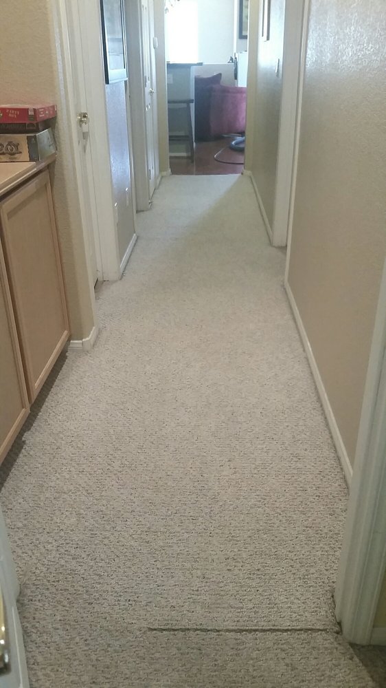 SUNRISE CARPET & UPHOLSTERY CLEANING Updated October 2024 10