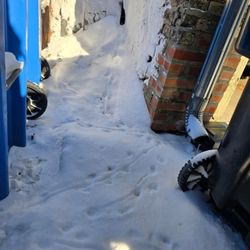 Easy Way Pest Control - rat tracks in the snow between the garages in alley ( Edgewater location)