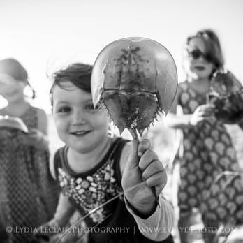 Lydia Leclair Photography - Event Photography Near Me - Harwich Port, Massachusetts Lydia Leclair Photography - Event Photography Near Me - Harwich Port, Massachusetts