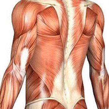 Malama Integrative Bodywork - Massage Near Me - San Diego, California Malama Integrative Bodywork - Massage Near Me - San Diego, California