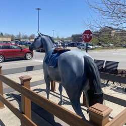 Dixie Gallopalooza Horse