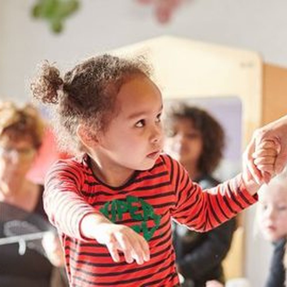 TOP 10 BEST Elementary Schools in Vught, Noord-Brabant, The Netherlands -  Updated 2026 - Yelp, image size:1000x1000