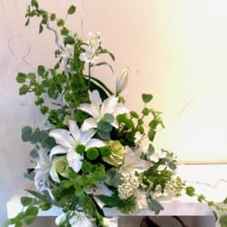 The Secret Garden Florist