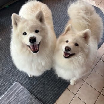 Pet Care Club - Pet Sitting Near Me Pet Care Club - Pet Sitting Near Me