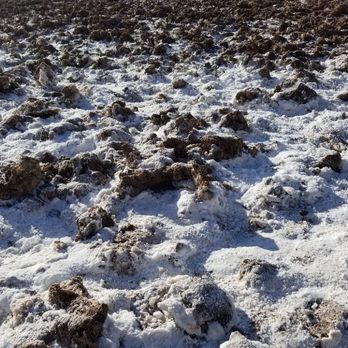 Badwater Basin - Salt - Landmarks & Historical Buildings Near Me - Death Valley, California