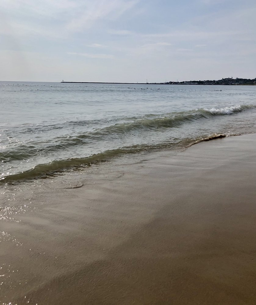 Fred Benson Town Beach Logo