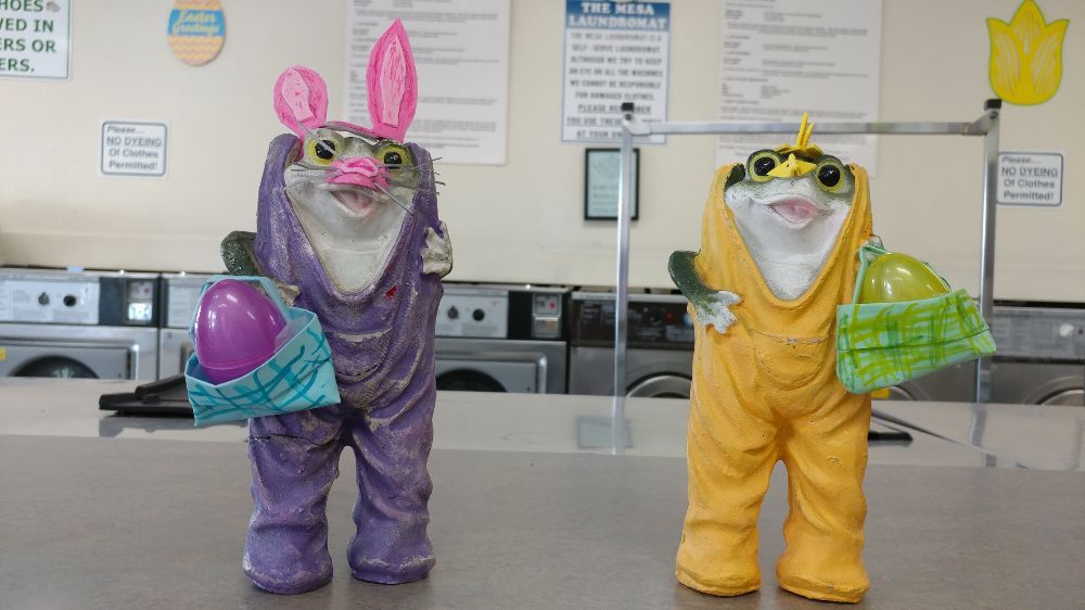 THE MESA LAUNDROMAT Updated June 2024 17 Photos & 29 Reviews 315