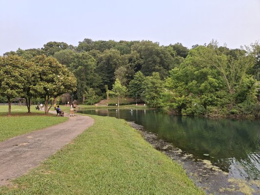 Avondale Park by null