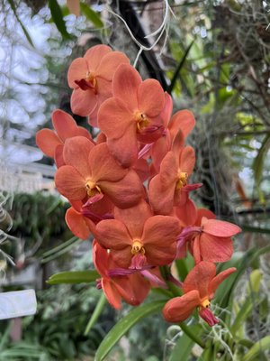 The State Botanical Garden of Georgia by null