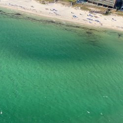 Hang Ten Helicopters - A few sharks!
