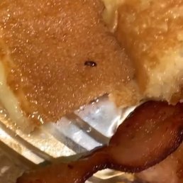 More roaches embedded in the pancakes.