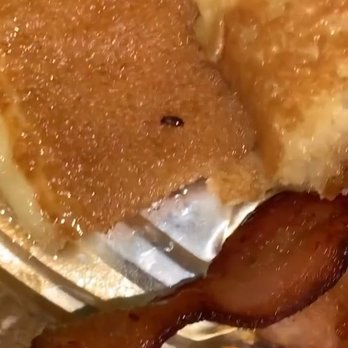 Jimbos Hamburgers - More roaches embedded in the pancakes. - Burgers Near Me - Bronx, New York Jimbos Hamburgers - More roaches embedded in the pancakes. - Burgers Near Me - Bronx, New York