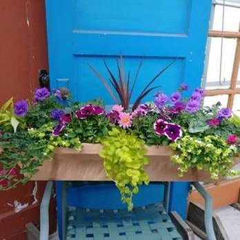 Windmill Gardens - Custom ordered & designed 90th Birthday window box for my mom... - Nurseries & Gardening Near Me - Sumner, Washington Windmill Gardens - Custom ordered & designed 90th Birthday window box for my mom... - Nurseries & Gardening Near Me - Sumner, Washington