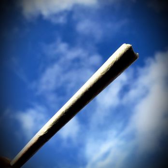 MÜV Dispensary - Fairy Godmother pre roll(Hybrid)(Jack Herer X Shiva Skunk) is uplifting,energizing,euphoric. fruity, citrus with pine notes. - Cannabis Clinics Near Me - Tampa, Florida MÜV Dispensary - Fairy Godmother pre roll(Hybrid)(Jack Herer X Shiva Skunk) is uplifting,energizing,euphoric. fruity, citrus with pine notes. - Cannabis Clinics Near Me - Tampa, Florida