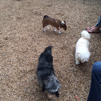 LA Live - Dog Parks Near Me - Los Angeles, California LA Live - Dog Parks Near Me - Los Angeles, California