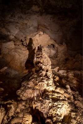 Carlsbad Caverns National Park by null