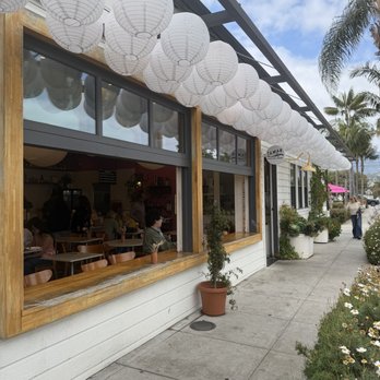 Dart Coffee Co - Coffee Roasteries Near Me - Santa Barbara, California