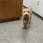 Photo of Newport Veterinary Hospital