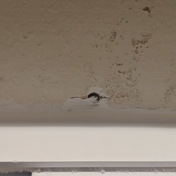 North Texas Window Solutions - holes left in window frames. - Windows Installation Near Me - Rowlett, Texas North Texas Window Solutions - holes left in window frames. - Windows Installation Near Me - Rowlett, Texas