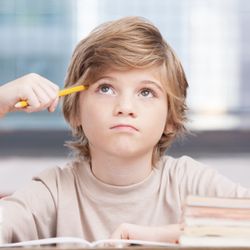 Club Z! In-Home Tutoring Services