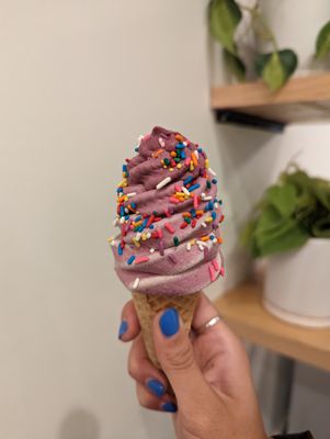 Nico's Ice Cream by null