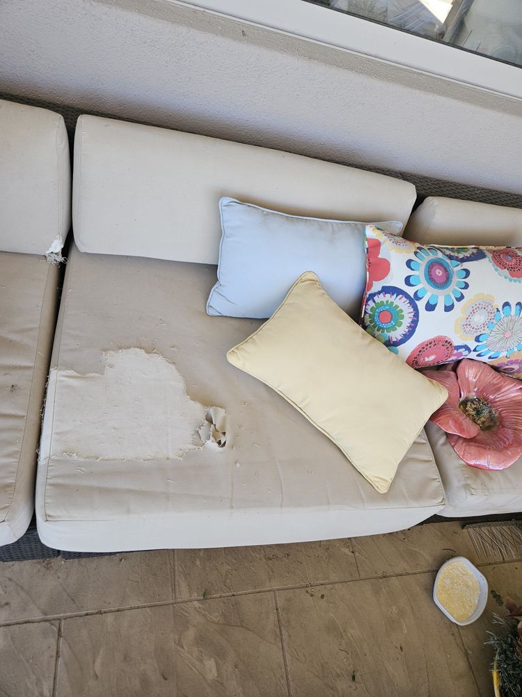 Patio King - upholstery in Scottsdale, AZ