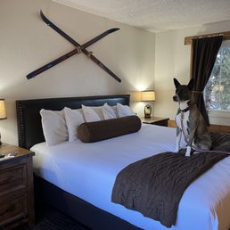 Cute room. Clean. Cute decor. Cute room. Clean. Cute decor.