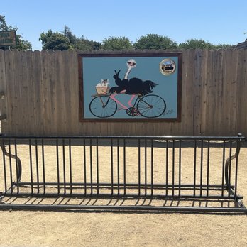 Ostrichland USA - Attraction Farms Near Me - Solvang, California Ostrichland USA - Attraction Farms Near Me - Solvang, California