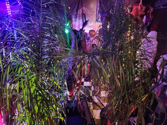 Cherry Smash by null