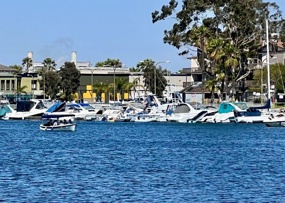Marine Stadium by null