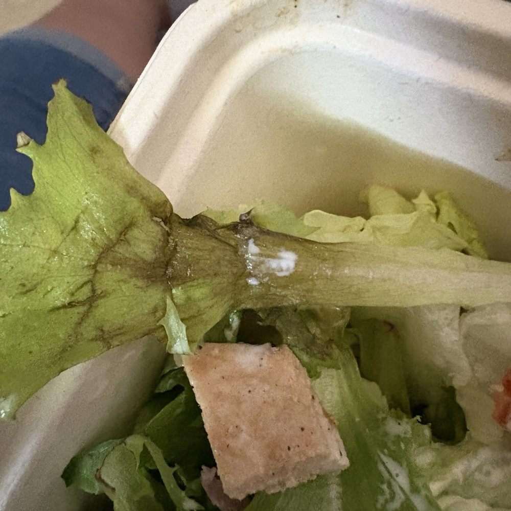 Habit Burger & Grill - Rotting lettuce - Salad Near Me - Phoenix, Arizona Habit Burger & Grill - Rotting lettuce - Salad Near Me - Phoenix, Arizona