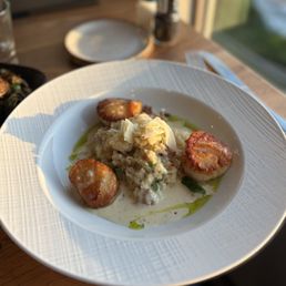 Scallops
