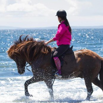 Crescent Stables - Photo - Horse Boarding Near Me - Delta, British Columbia