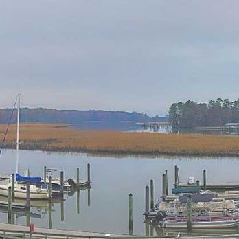 The Surry Seafood - Seafood Near Me - Surry, Virginia The Surry Seafood - Seafood Near Me - Surry, Virginia