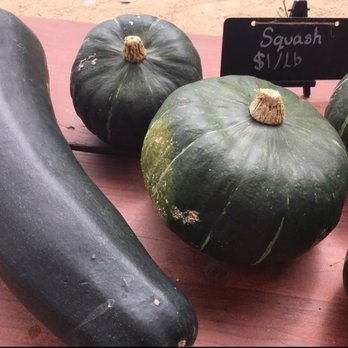 Coastal Roots Farm - Farmers Market Near Me - Encinitas, California Coastal Roots Farm - Farmers Market Near Me - Encinitas, California
