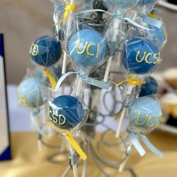 XOXO Cake Pops - College Reveal Party treats were perfect!