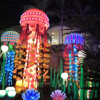 Jungle Island - Amusement Parks Near Me - Miami, Florida