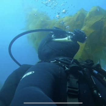 Sharky's Scuba & Swim - Kelp Forest - Scuba Diving Near Me - San Dimas, California Sharky's Scuba & Swim - Kelp Forest - Scuba Diving Near Me - San Dimas, California